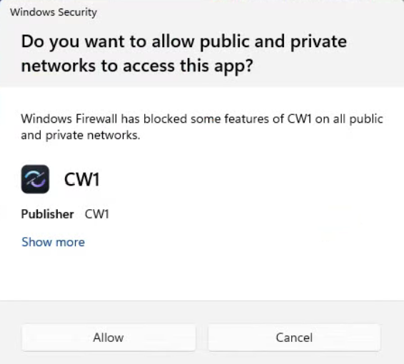 Windows
                Firewall prompt asking to allow the app to access public and
                private networks — click Allow